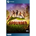 Grounded Steam